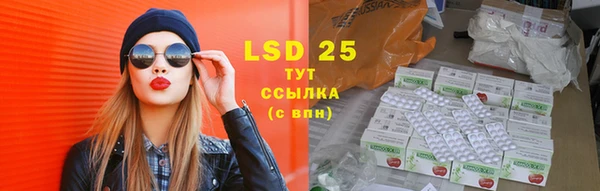 твердый Аркадак