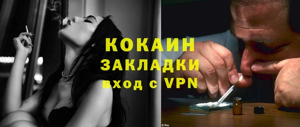 твердый Аркадак