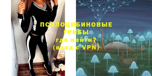 твердый Аркадак
